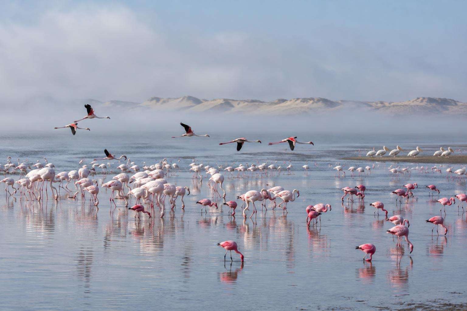 Swakopmund on Namibia Wildlife and Culture Tour for Seniors