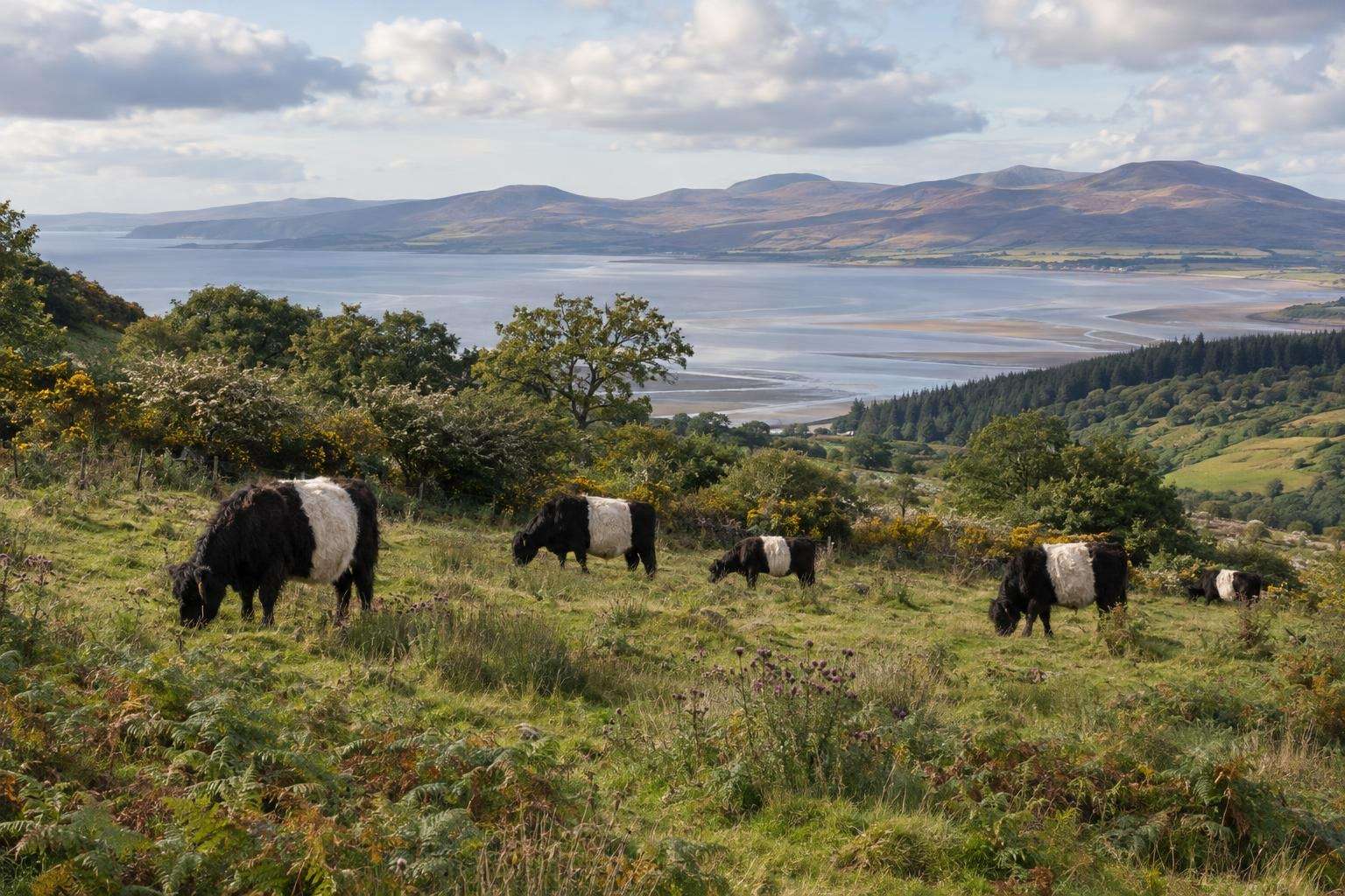 Dumfries on Prehistoric Britain