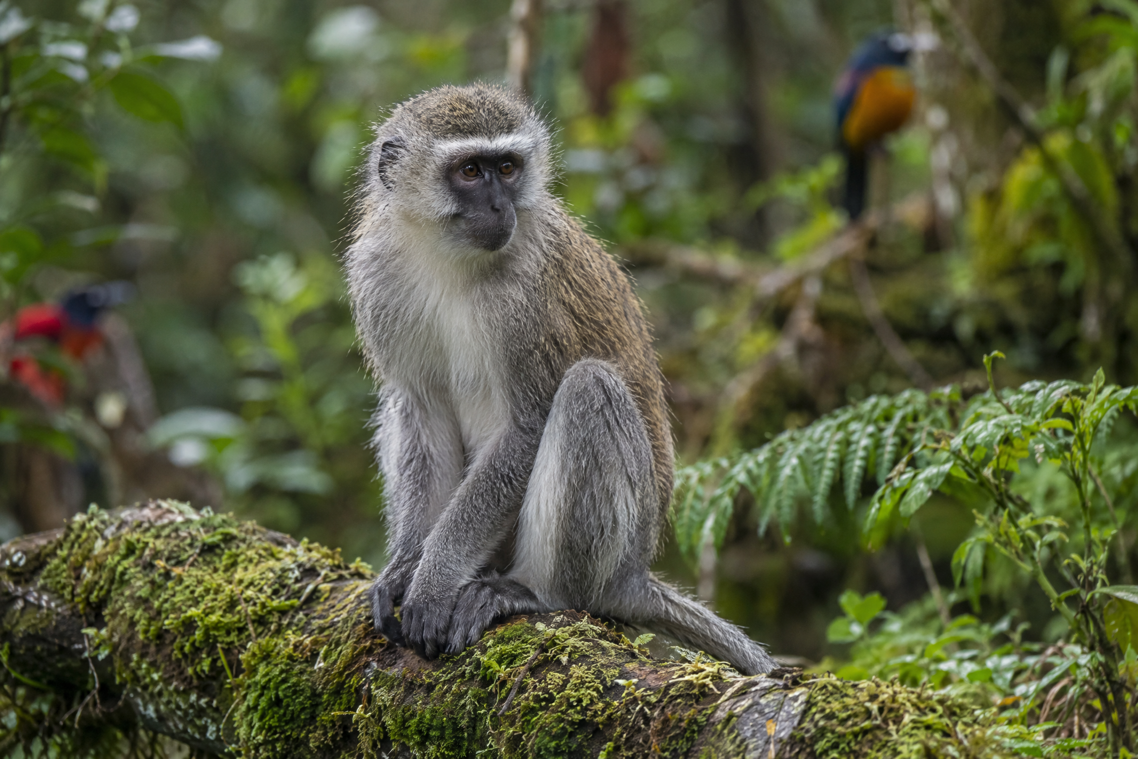 Knysna on Southern Africa Tour | Fully Escorted Africa Tour for Seniors
