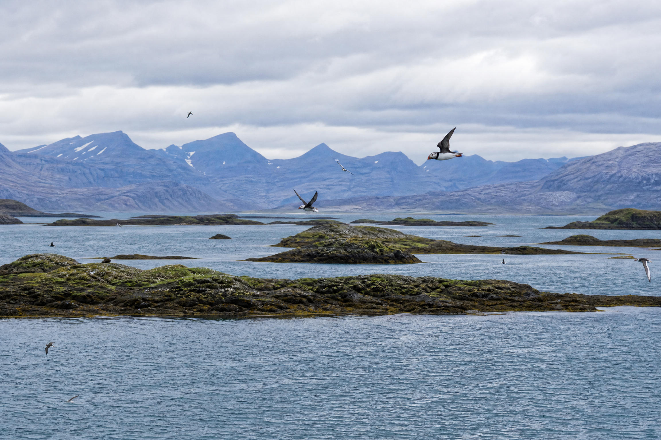 Stykkisholmur – Brjanslaekur- Flokalundur on Iceland cultural and wilderness small group tour