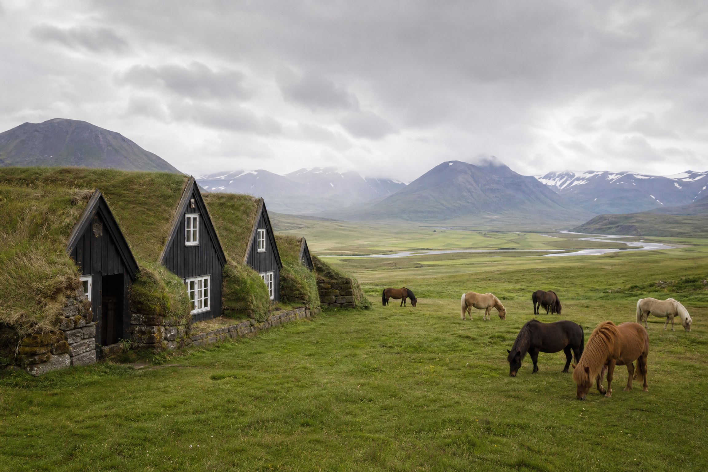 Hrutafjordur –Vatnsnes- Akureyri on Iceland cultural and wilderness small group tour