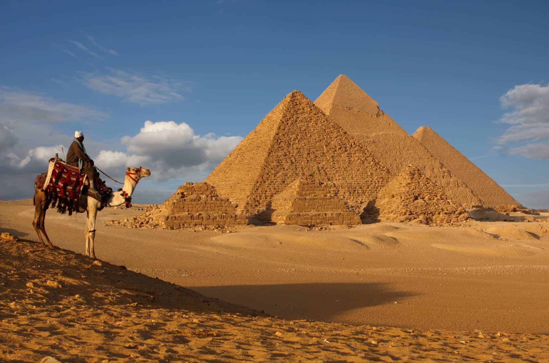 Egypt, Pyramids, Cairo, Camel