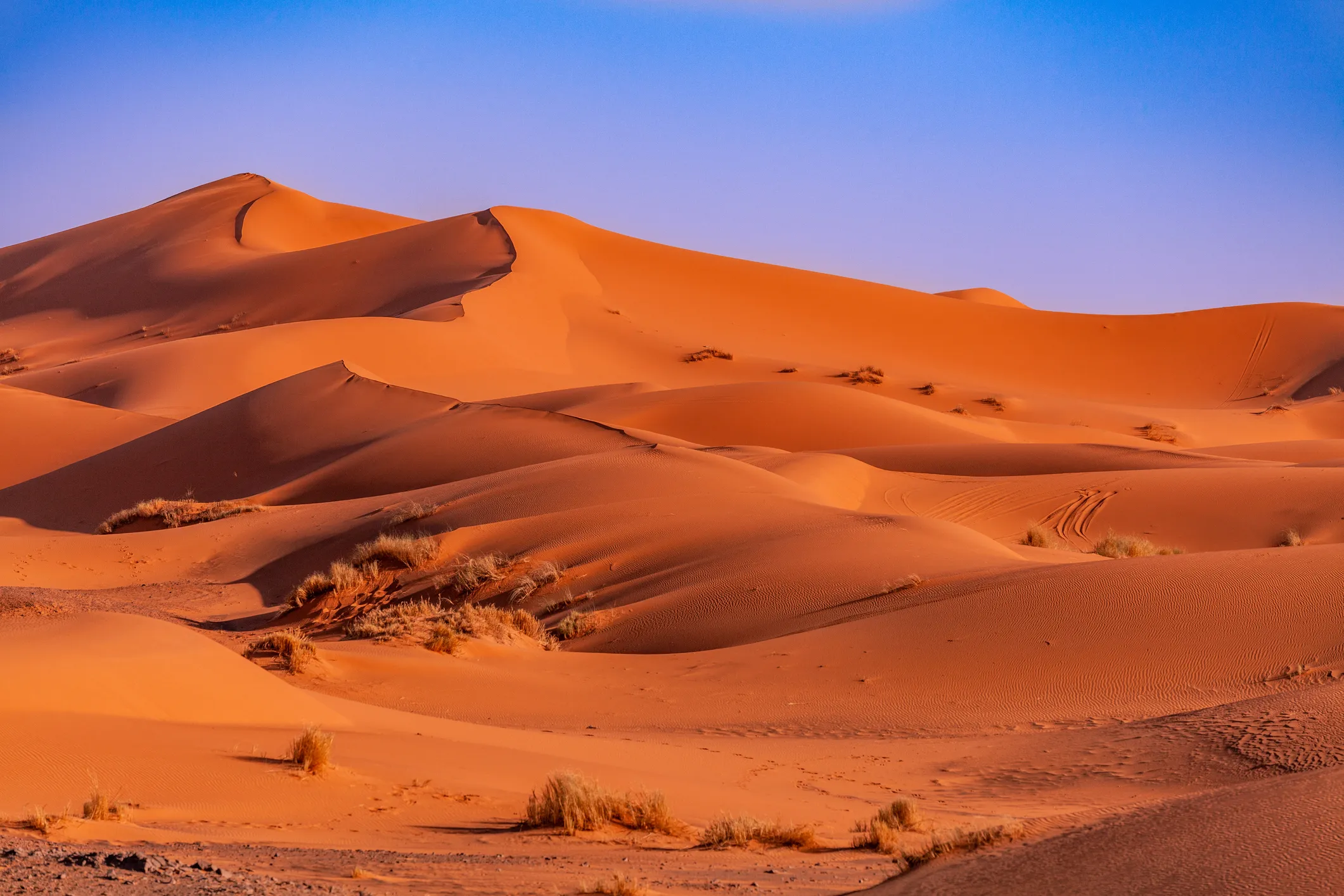 Erfoud on Morocco tour for senior travellers