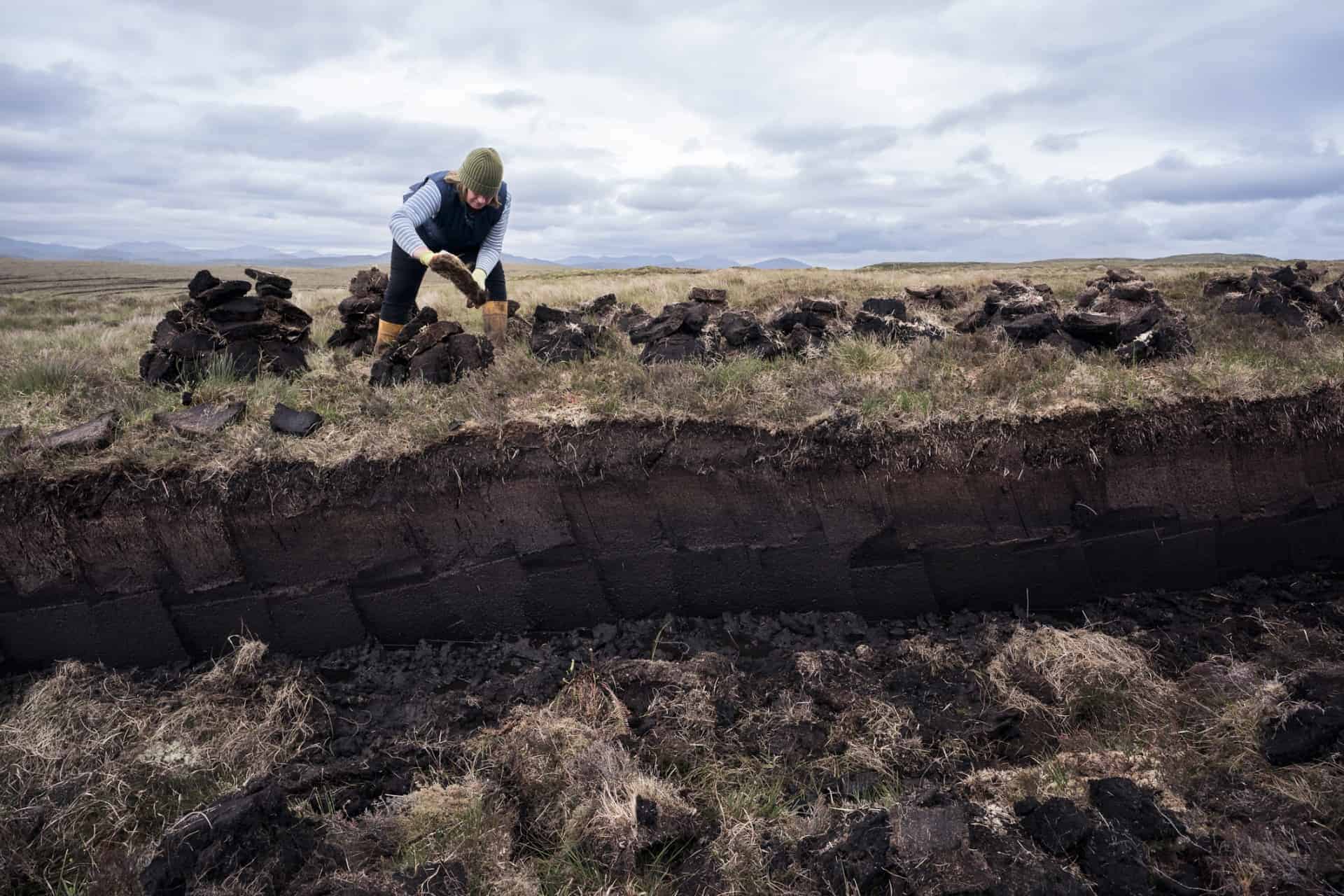 Woman stacking peat blocks