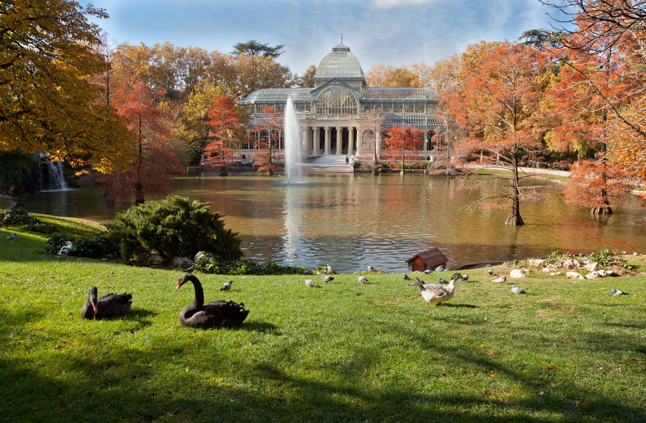 A Crystal Palace in Retiro Park, Madrid
