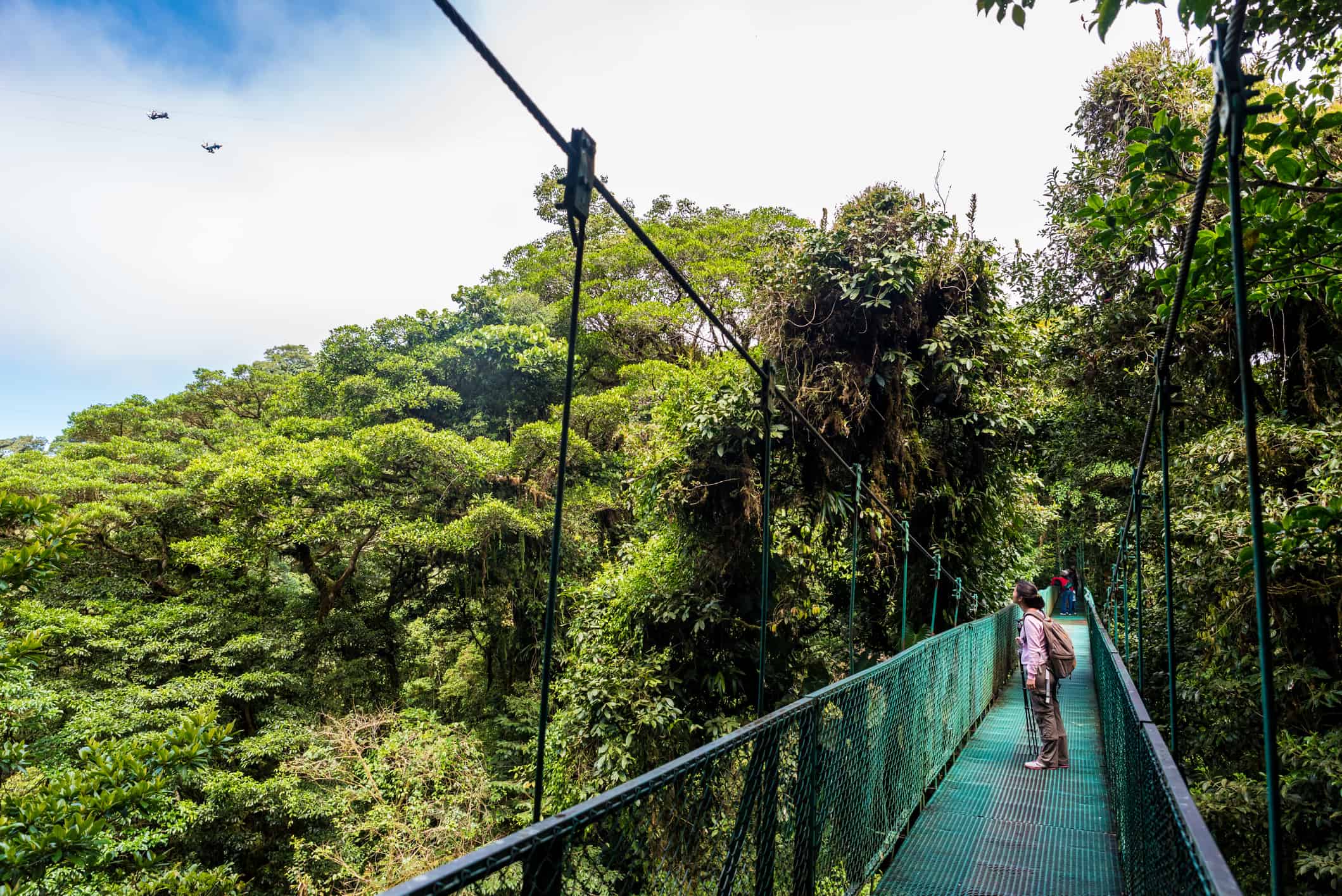 Girl walking on hanging bridge in Cloud Forest - Monteverde, Costa Rica