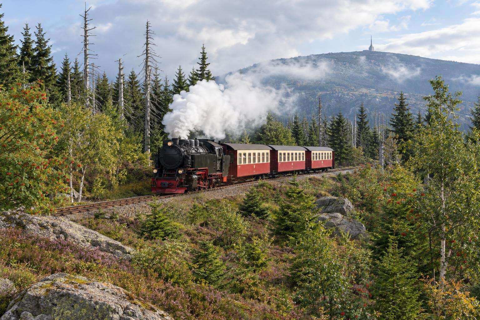 Wernigerode on Contemporary Germany small group tour