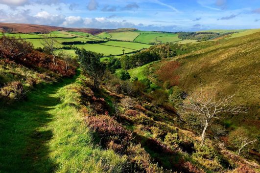 Exmoor