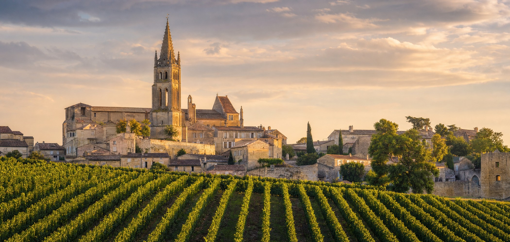 People-free editorial view of Saint Emilion Vineyards.
