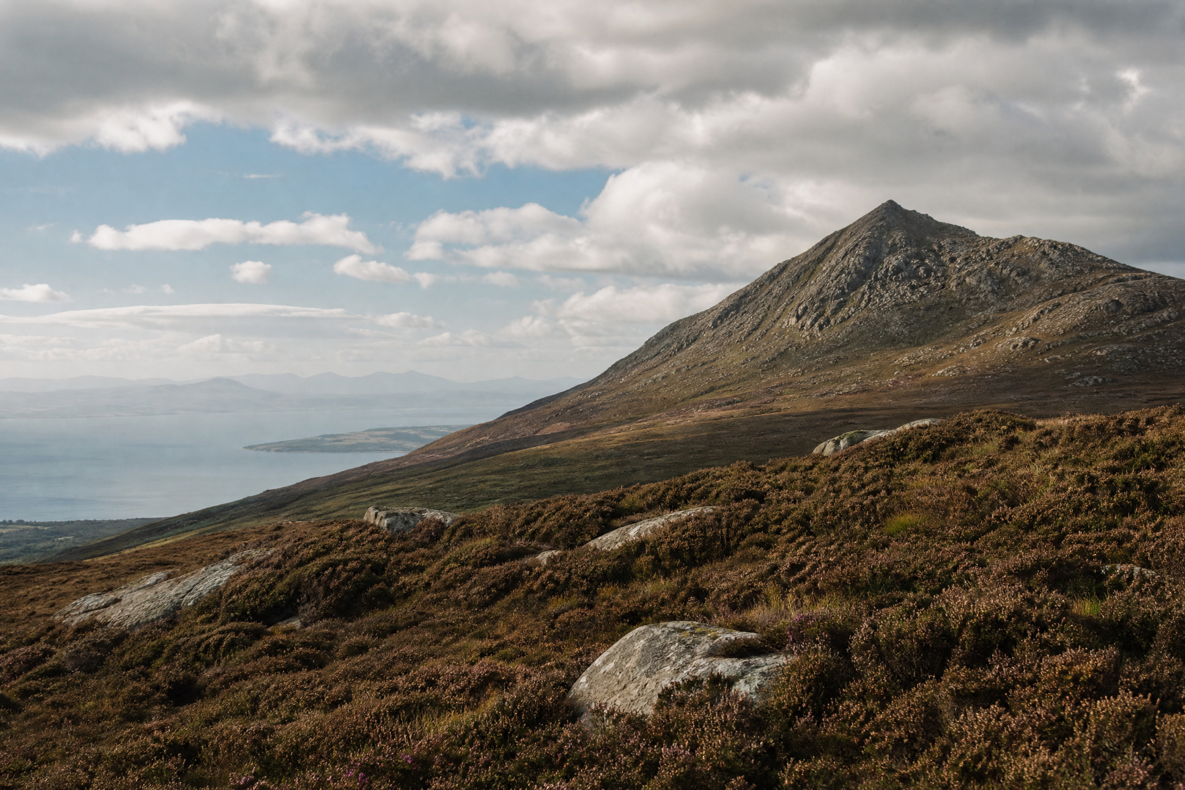The granite peak of Goat Fell seen from heather-covered lower slopes, with the Firth of Clyde below, Isle of Arran, Scotland