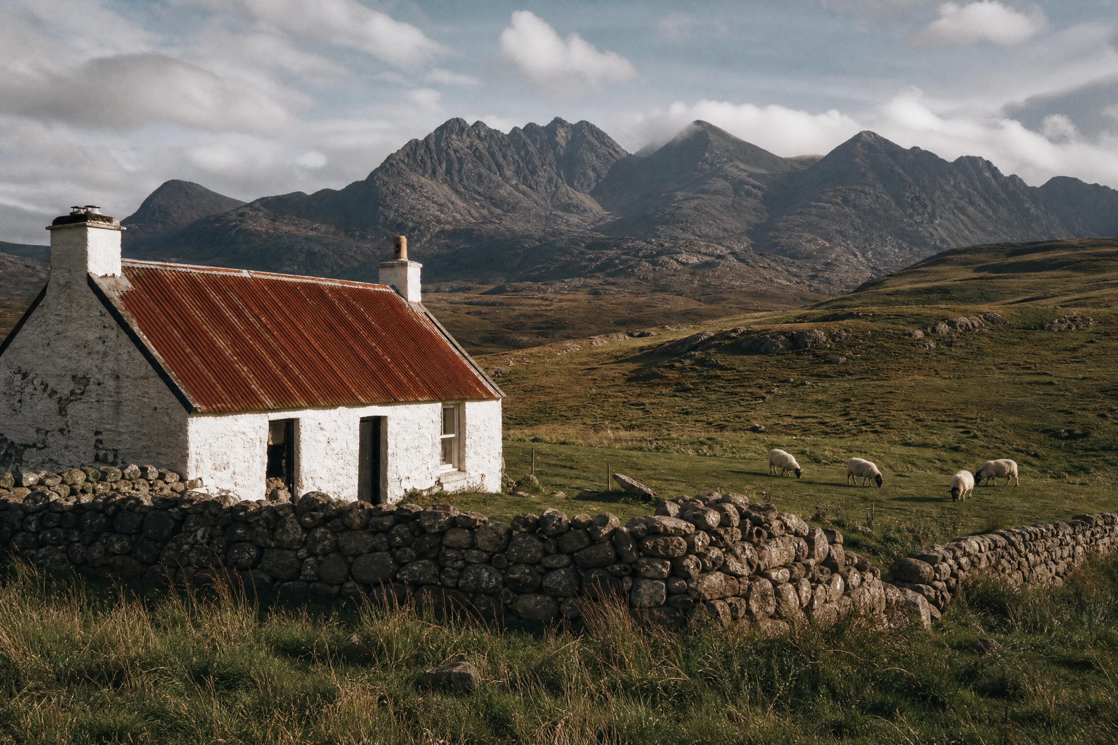 A working croft cottage with a red corrugated roof and grazing sheep, Cuillins in the background, Isle of Skye
