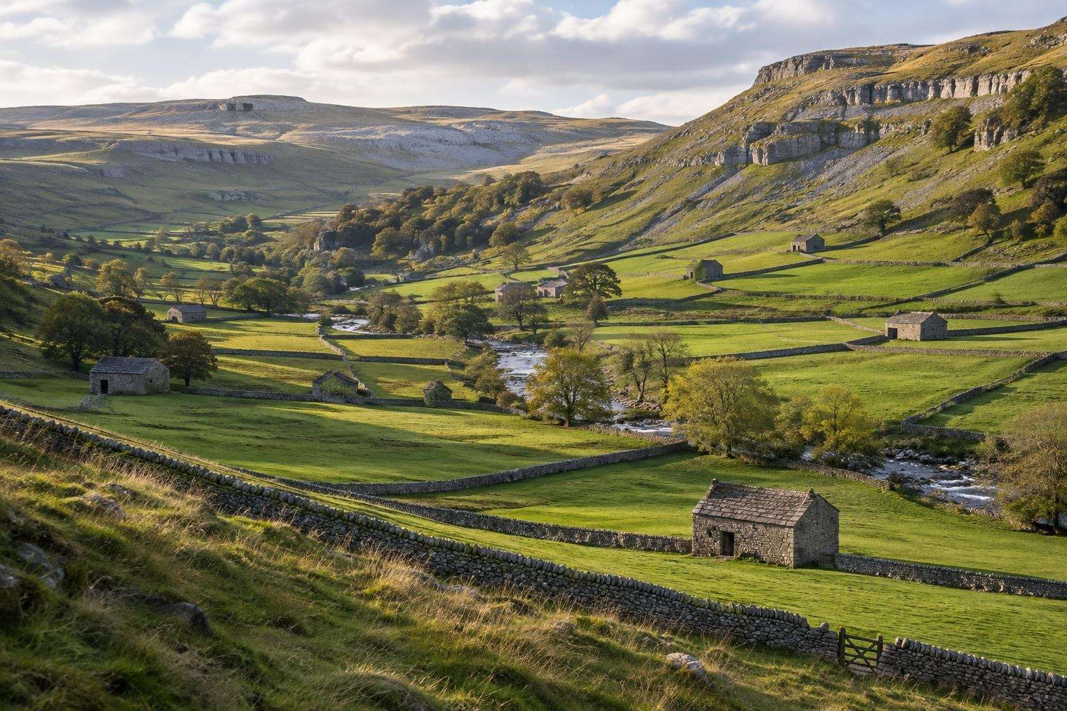 A network of dry-stone walls and stone field barns across a valley in the Yorkshire Dales.